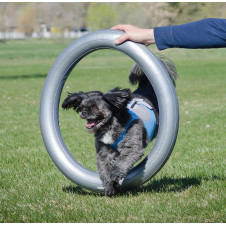 fitPAWS Circular Product Holder