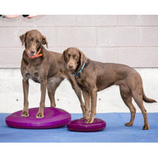 fitPAWS Balance Disc 36 cm