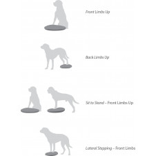 fitPAWS Balance Disc 36 cm