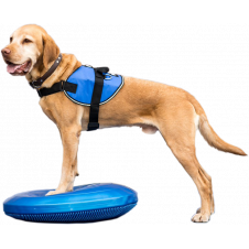 fitPAWS Balance Disc 56 cm