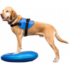 fitPAWS Balance Disc 56 cm