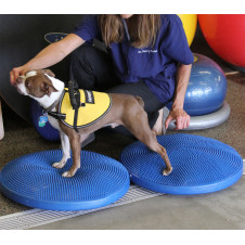 fitPAWS Balance Disc 56 cm