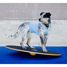 fitPAWS Wobble Board 50 cm