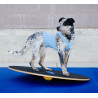 fitPAWS Wobble Board 50 cm