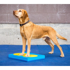 fitPAWS Balance Pad