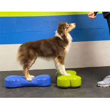 fitPAWS K9FitBone