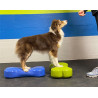 fitPAWS K9FitBone