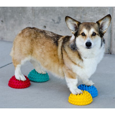 fitPAWS Paw Pods 4 szt