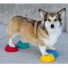 fitPAWS Paw Pods 4 szt