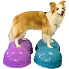 fitPaws FlexiPaws Cloud