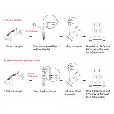 Test FeLV Ag/FIV Ab 10 sztuk w opakowaniu