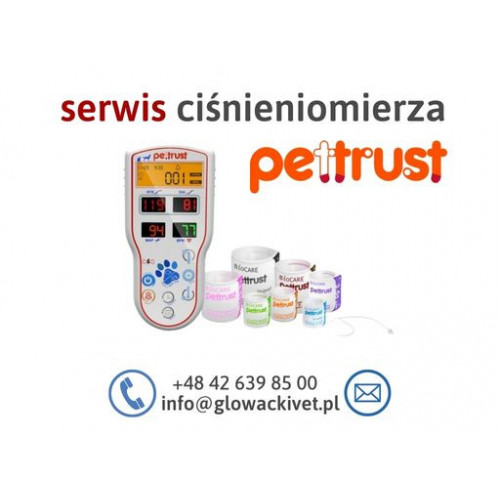 Serwis ciśnieniomierza Pettrust